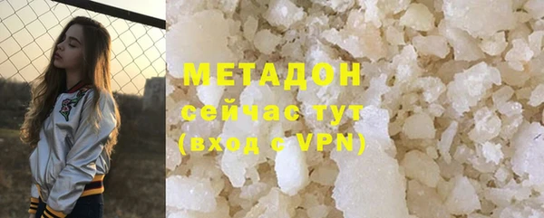 прущие грибы Коряжма