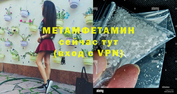 прущие грибы Коряжма