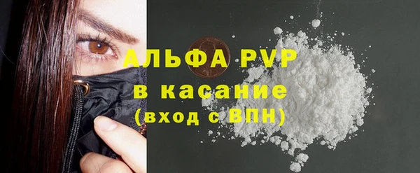 прущие грибы Коряжма