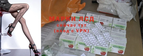 прущие грибы Коряжма