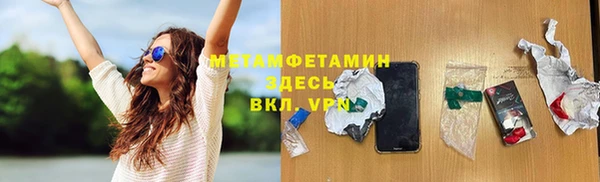 прущие грибы Коряжма