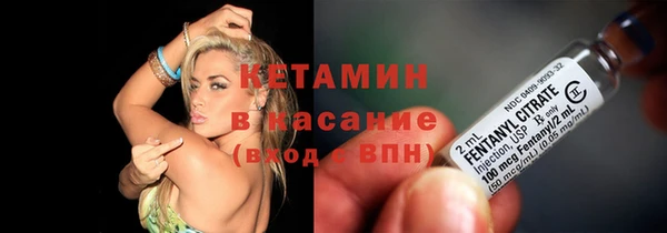 прущие грибы Коряжма