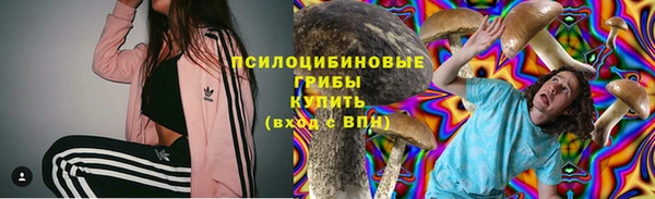 марки lsd Козельск