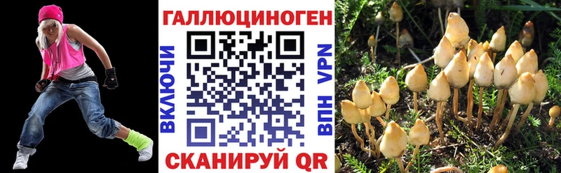 Купить закладки  Белая Калитва  Галлюциногенные грибы Psilocybe 